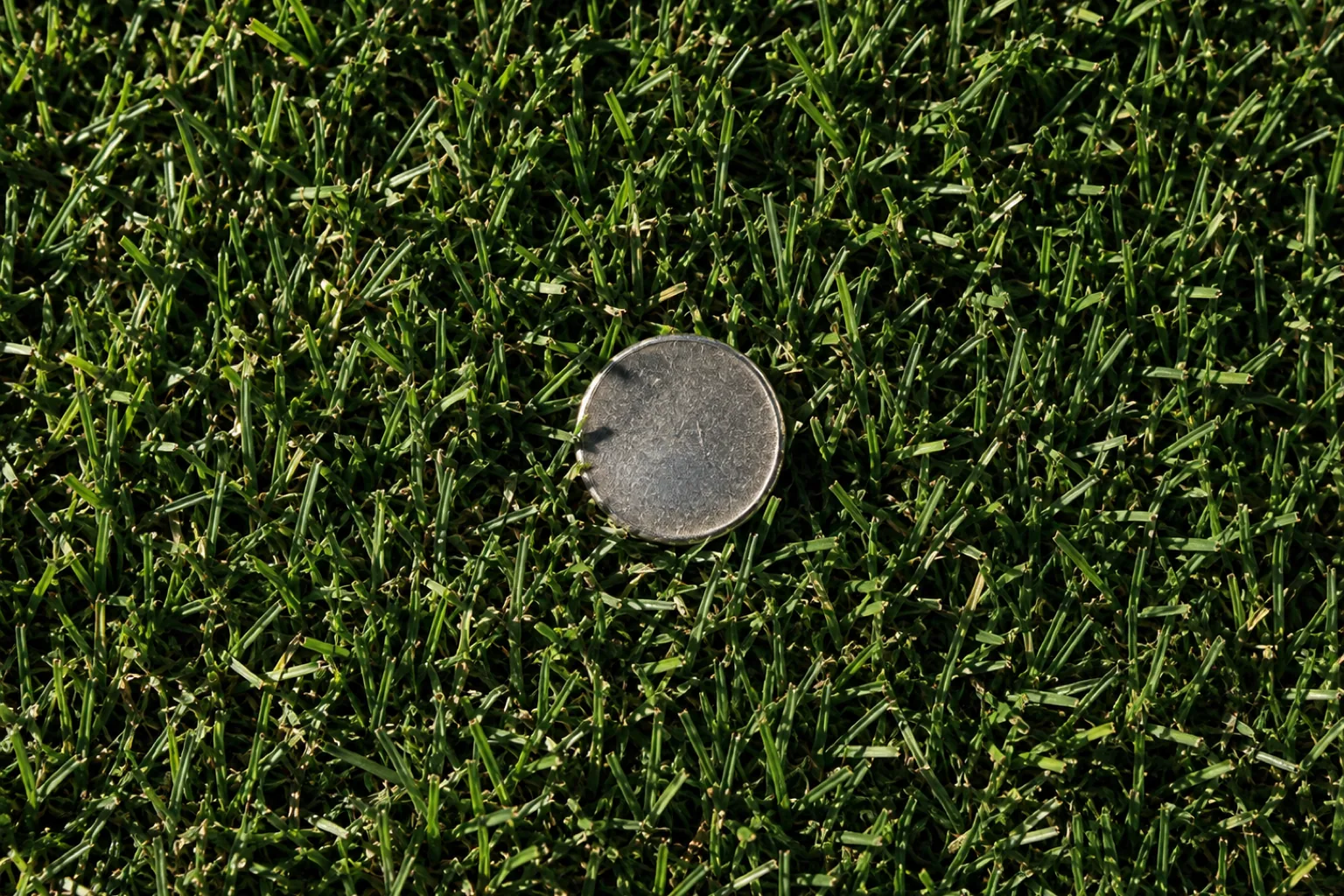 Everyone Takes the Ball. That Rule Expired Two Years Ago.