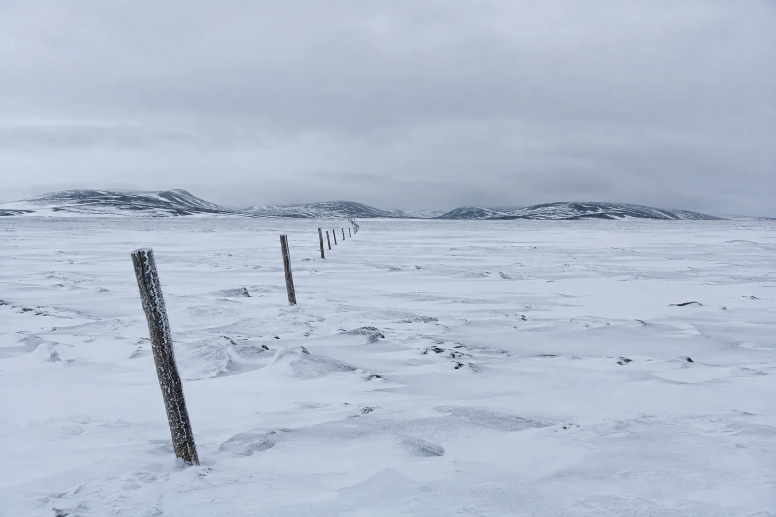 Wide arctic landscape photograph in flat winter light: a broad snow plain running to low dark hills, with a single line of old wooden survey stakes marching away from the camera into the distance, each one leaning slightly, frost on the timber. The stakes are the only human mark in the frame.