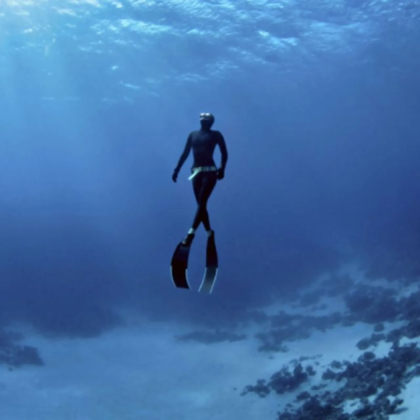 Beneath the Surface: What Divers Know That the Rest of Us Forget