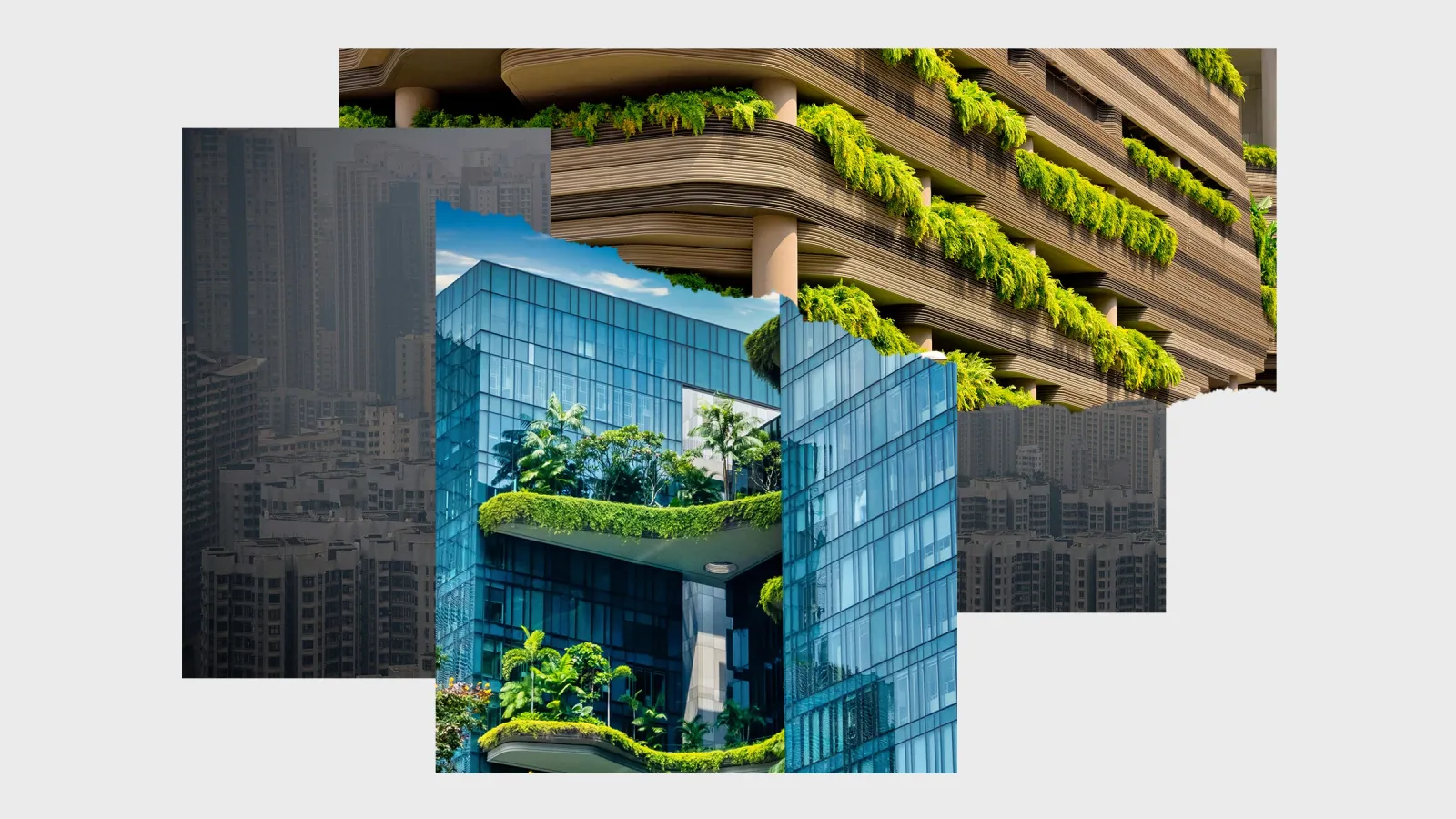 The Concrete Jungle Is Turning Green Again