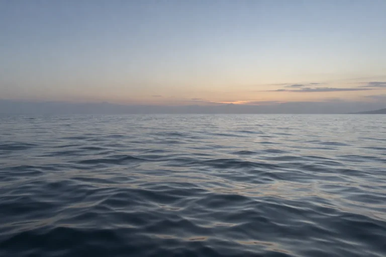 Wide photograph of an empty sea at first light, shot low from just above the water. The surface is calm and metallic under a narrow band of pale sky, with a faint smudge of coastline barely resolved in the haze at the right edge and no vessels anywhere.